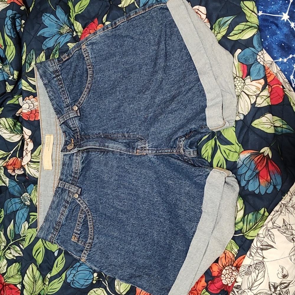 Size 38 Lu Oliveira Jean Shorts
